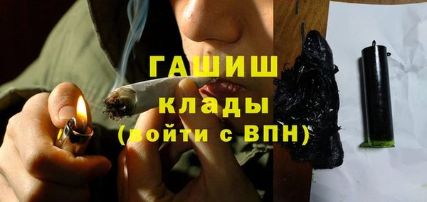 PSILOCYBIN Алзамай