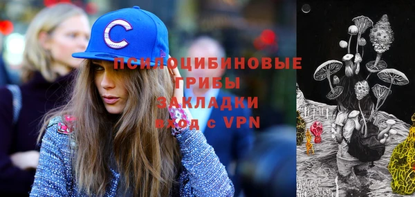 PSILOCYBIN Алзамай