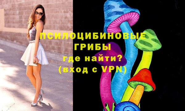 PSILOCYBIN Алзамай