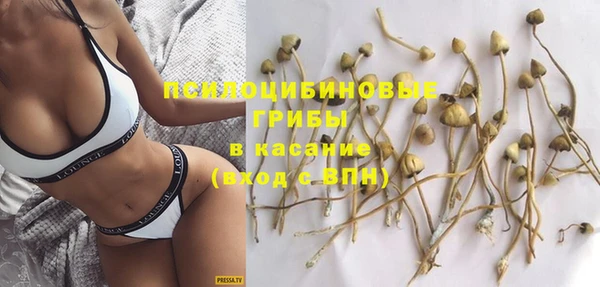 спайс Алексеевка